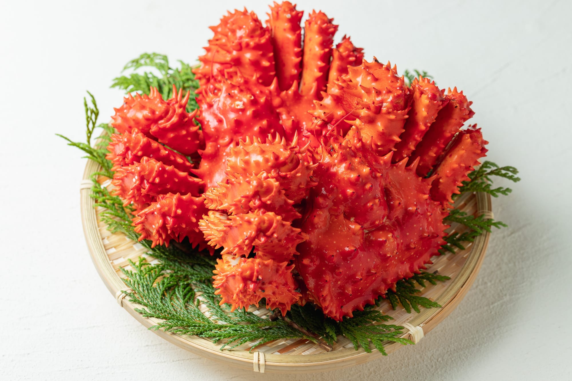 花咲ガニ_イメージ