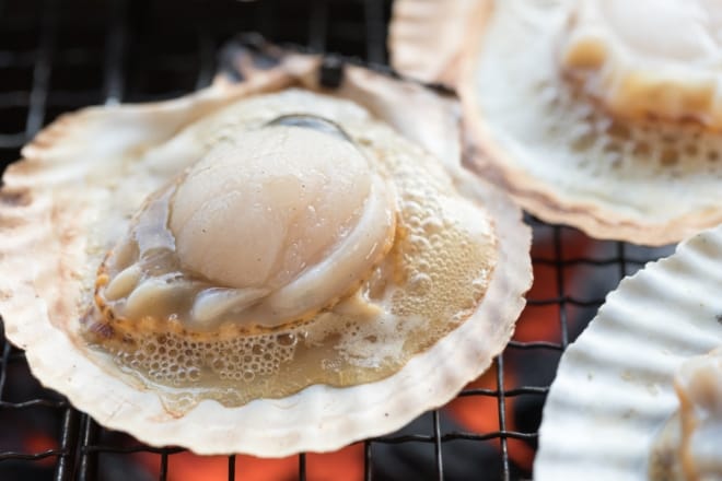 ホタテ_イメージ