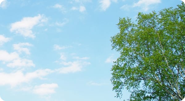 発寒西公園_イメージ
