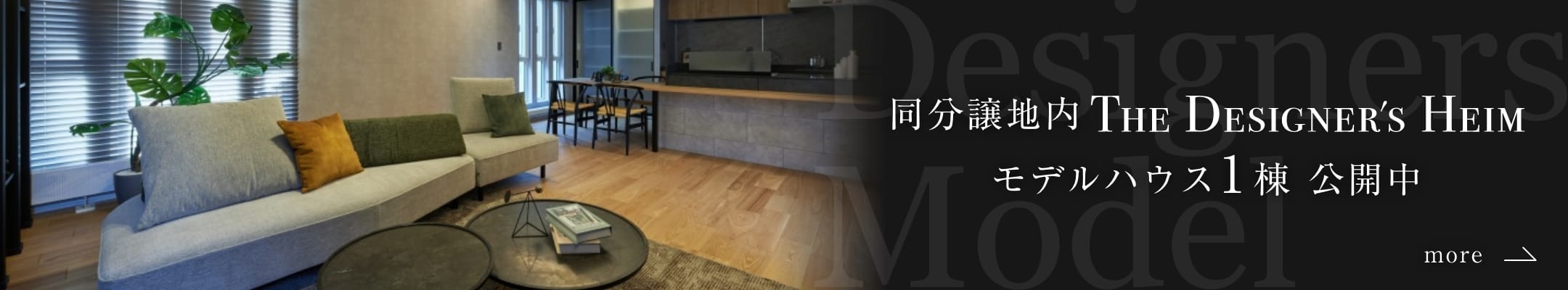 同分譲地内デザイナーズモデル モデルハウス1棟 公開中