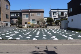 土地画像